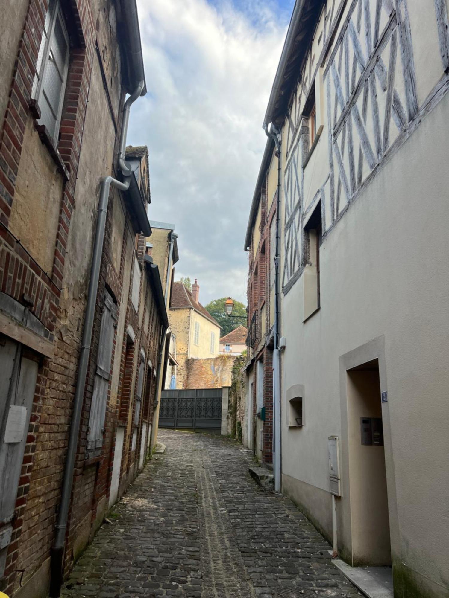 Pensjonat Le Citadin Bourguignon Toucy Zewnętrze zdjęcie